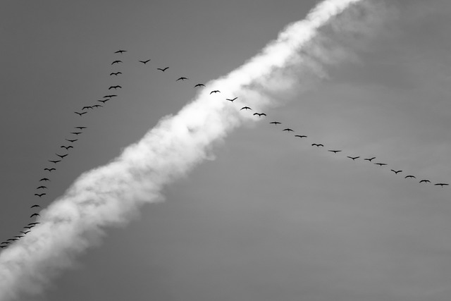 Aktive udflugter: Oplev naturen med voksne aktiviteter