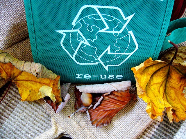 Fra affald til kunst: Verden opdager potentialet i genbrugspapirkurven