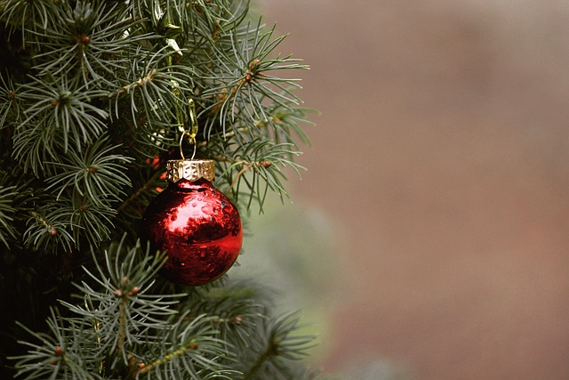 Få et unikt og imponerende juletræ med den innovative juletræskæde fra Sirius
